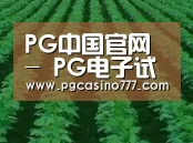 种植基地六(图1)