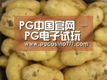 产品展示标题6