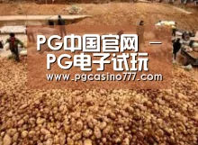 种植基地二