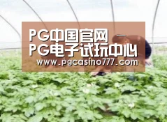 种植基地三