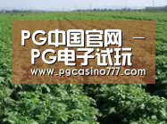种植基地五(图1)