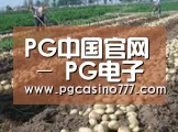 种植基地七(图1)