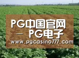 种植基地五
