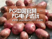 产品展示标题5