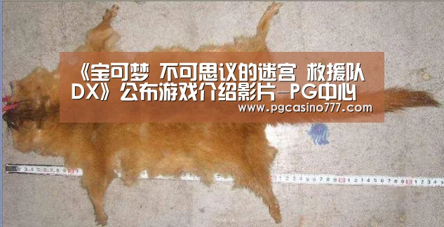 《宝可梦 不可思议的迷宫 救援队 DX》公布游戏介绍影片-PG中心(图3) PG地址